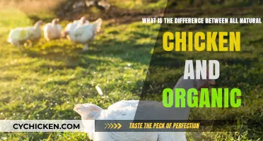 Natural vs Organic Chicken: What's the Difference?