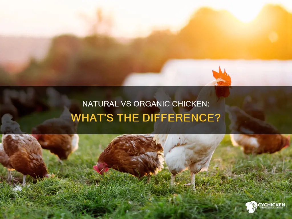 what is the difference between all natural chicken and organic