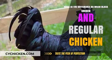 Black Chicken: What's the Difference?