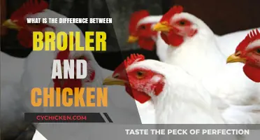 Broiler vs. Chicken: Understanding the Key Differences and Uses