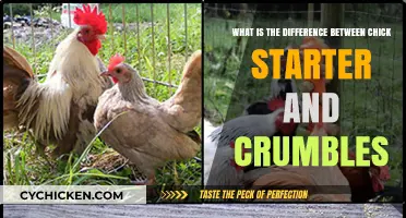 Chick Starter vs Crumbles: What's Best for Your Flock?