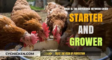 Chick Starter vs Grower: What's the Difference?