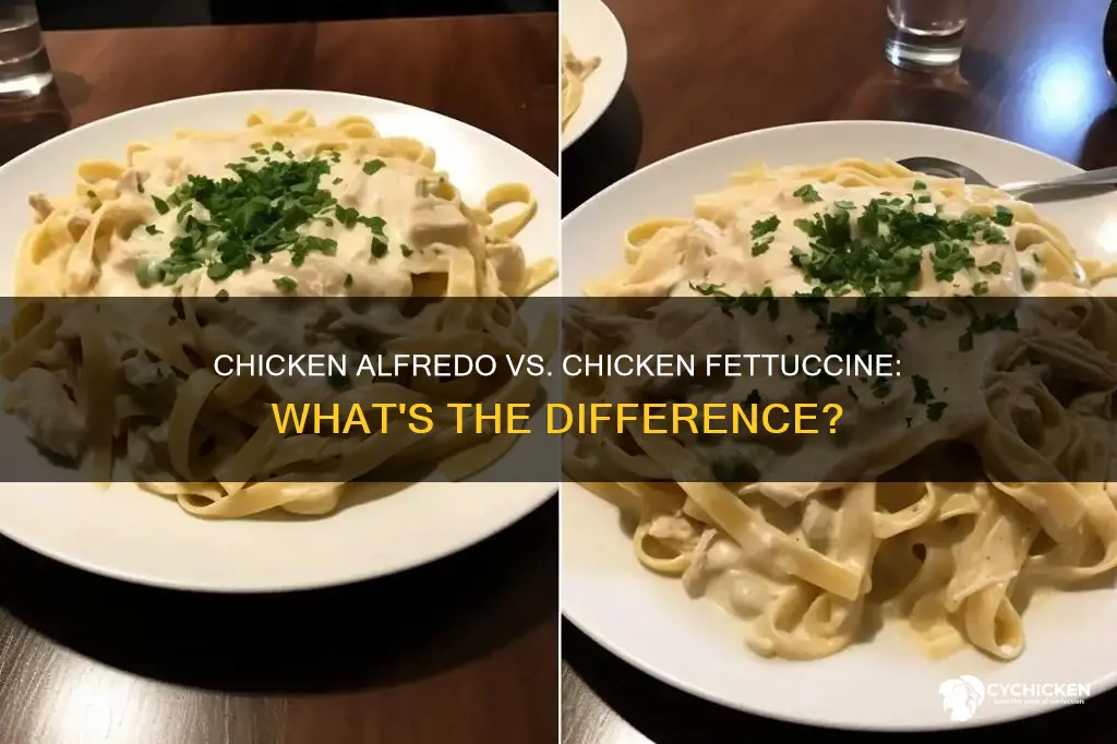 what is the difference between chicken alfredo and chicken fettuccine