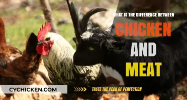 Chicken vs. Meat: Understanding the Key Nutritional and Culinary Differences