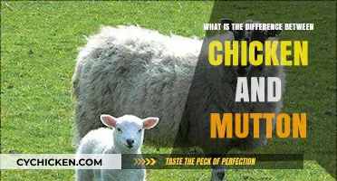 Chicken vs. Mutton: Key Differences in Taste, Texture, and Cooking