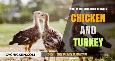 Chicken vs. Turkey: Key Differences in Taste, Nutrition, and Uses