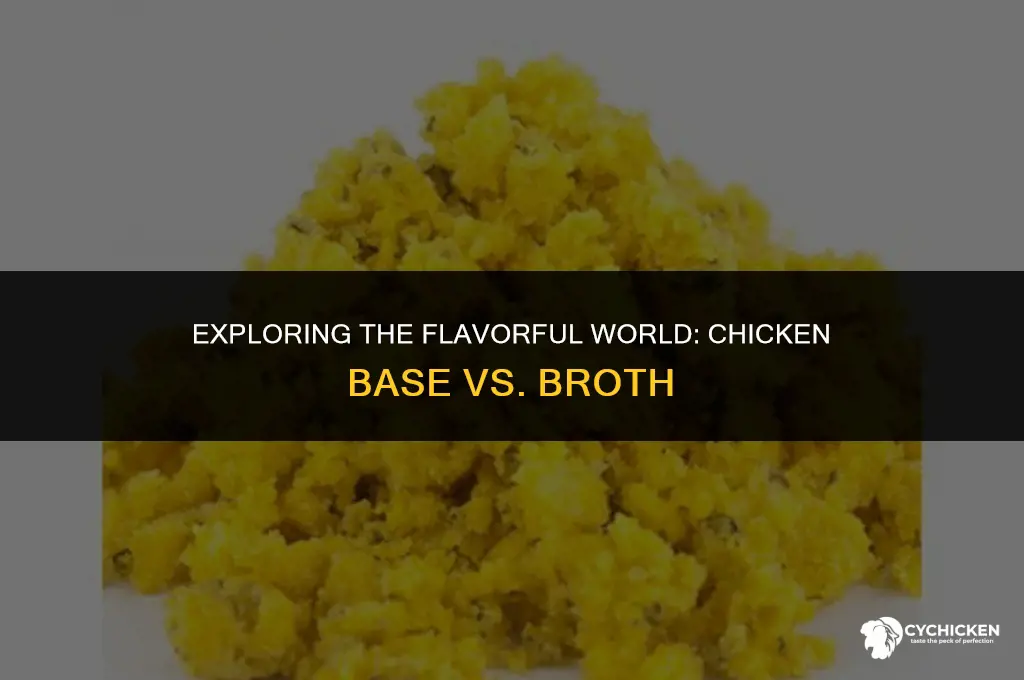 what is the difference between chicken base and broth
