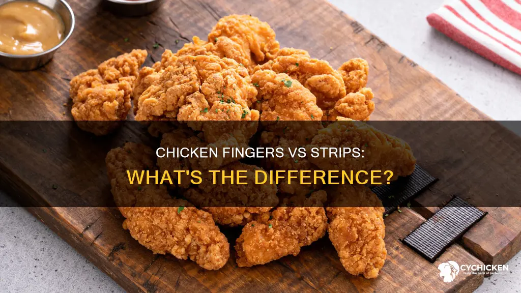 what is the difference between chicken fingers and chicken strips