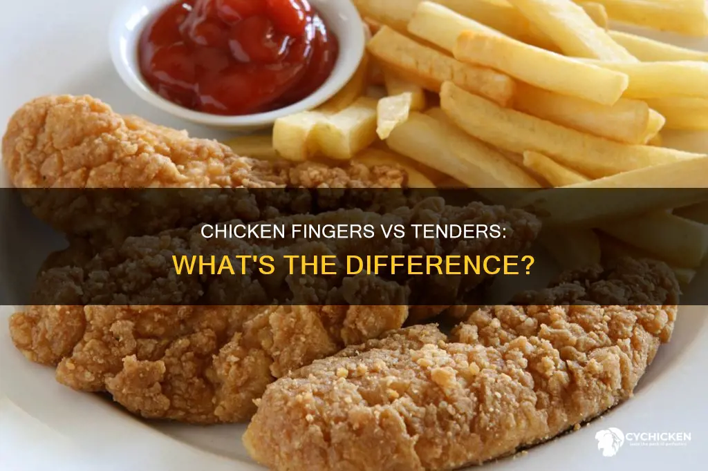 what is the difference between chicken fingers and chicken tenders