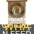 what is the difference between chicken food and scratch