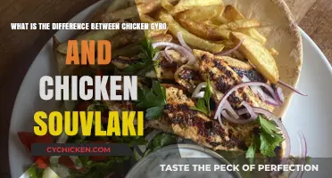 Chicken Gyro vs Souvlaki: What's the Difference?
