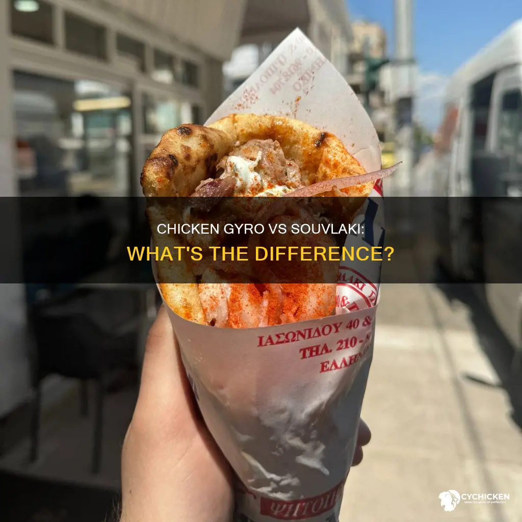 what is the difference between chicken gyro and chicken souvlaki