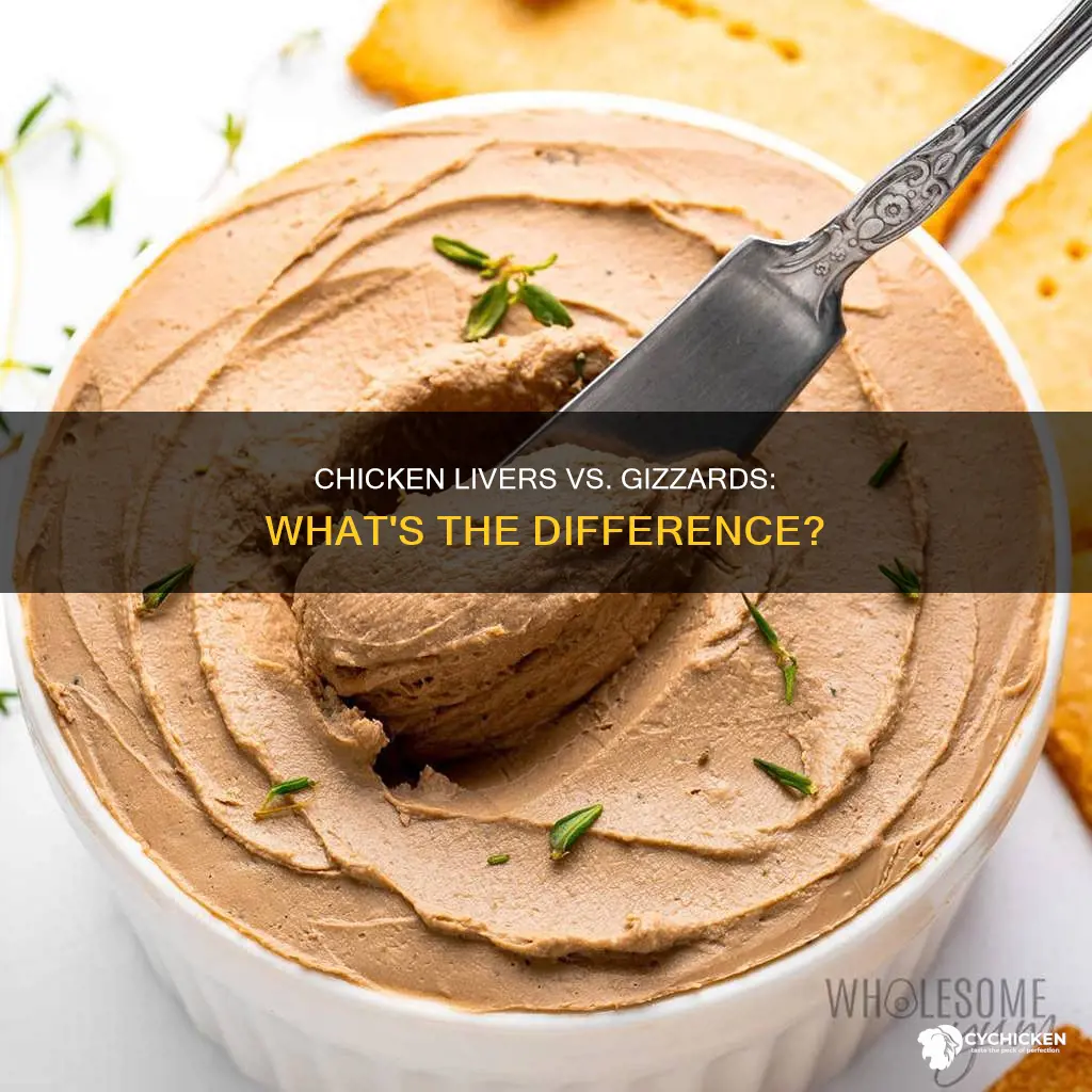 what is the difference between chicken livers and gizzards