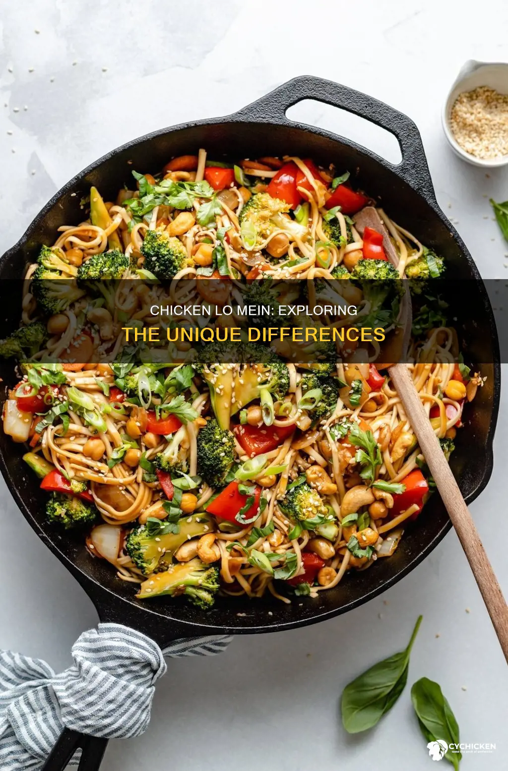 what is the difference between chicken lo mein and