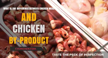 Chicken Meal vs By-Product: What's the Real Difference?