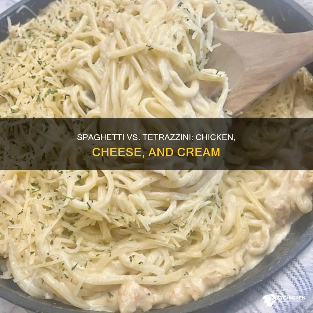 what is the difference between chicken spaghetti and chicken tetrazzini