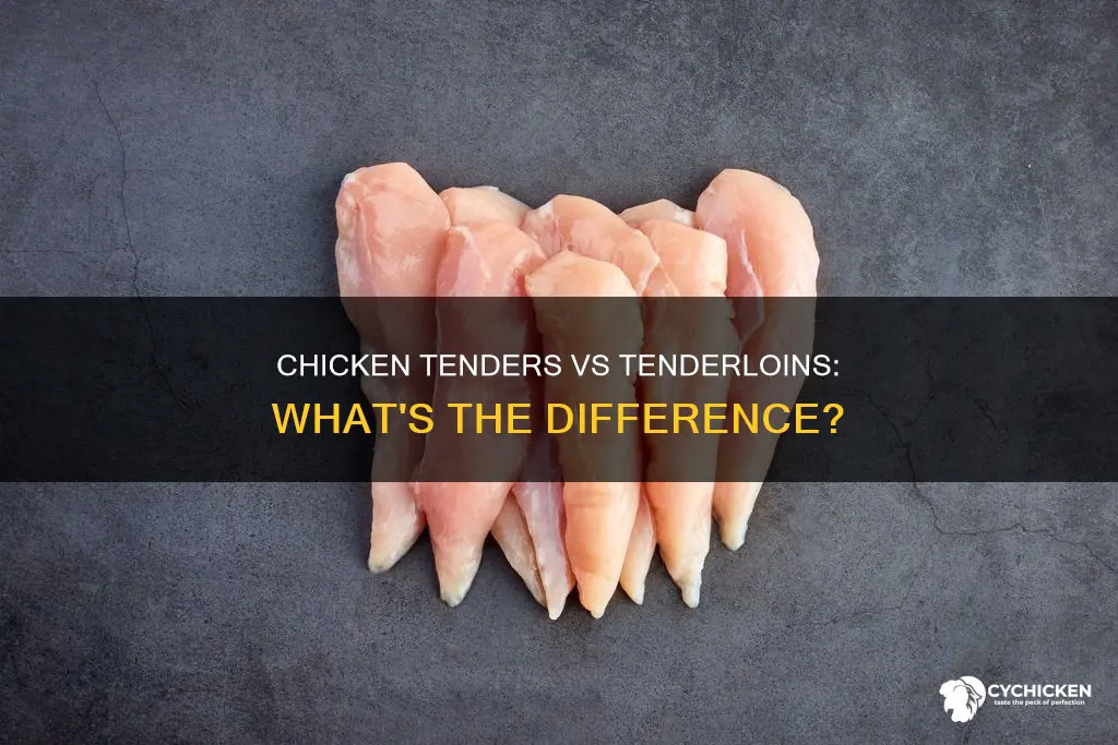 what is the difference between chicken tenders and chicken tenderloins