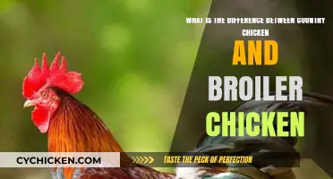 Country Chicken vs Broiler Chicken: What's the Difference?