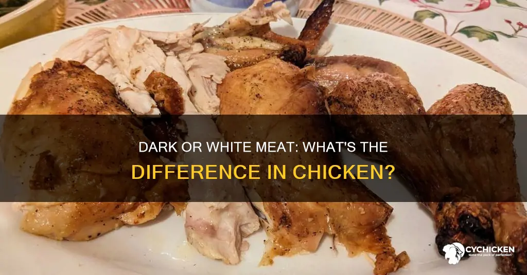 what is the difference between dark and white chicken