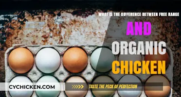Free-Range vs Organic Chicken: What's the Difference?