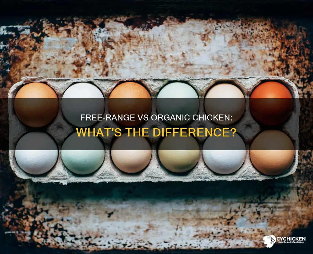 what is the difference between free range and organic chicken