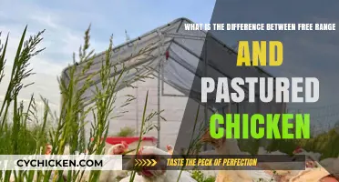 Free-Range vs Pastured Chicken: What's the Difference?