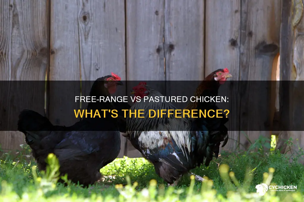 what is the difference between free range and pastured chicken