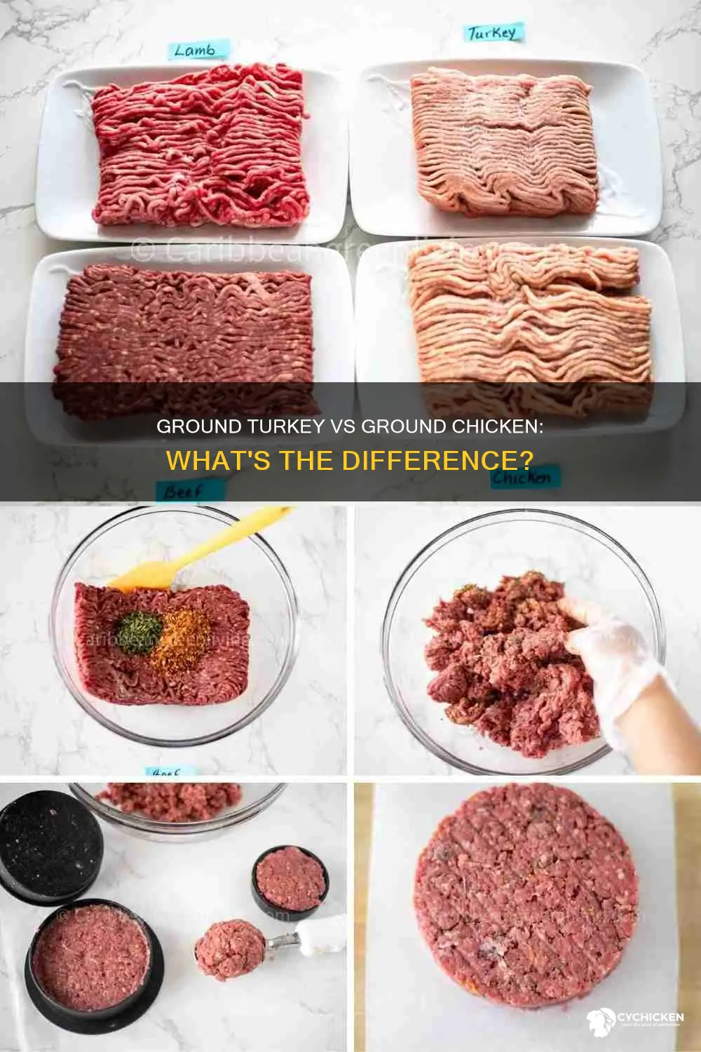 what is the difference between ground chicken and ground turkey