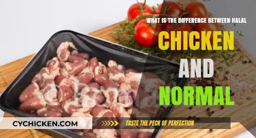 Halal Chicken: What Sets it Apart?