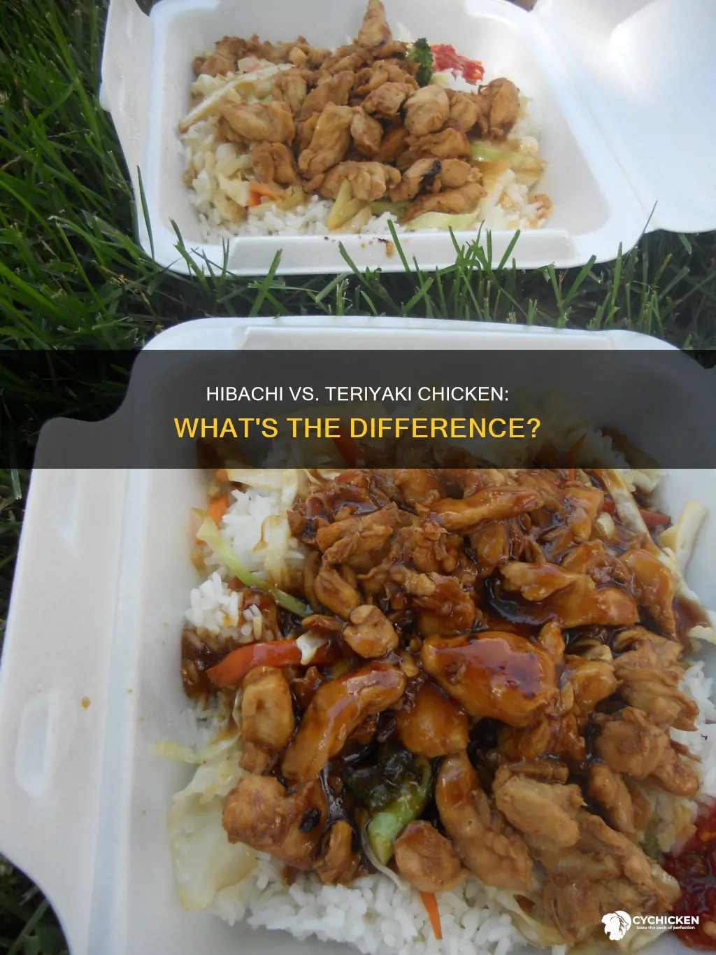 what is the difference between hibachi and teriyaki chicken