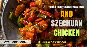 Hunan vs Szechuan Chicken: What's the Difference?