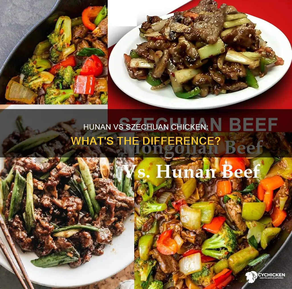 what is the difference between hunan and szechuan chicken
