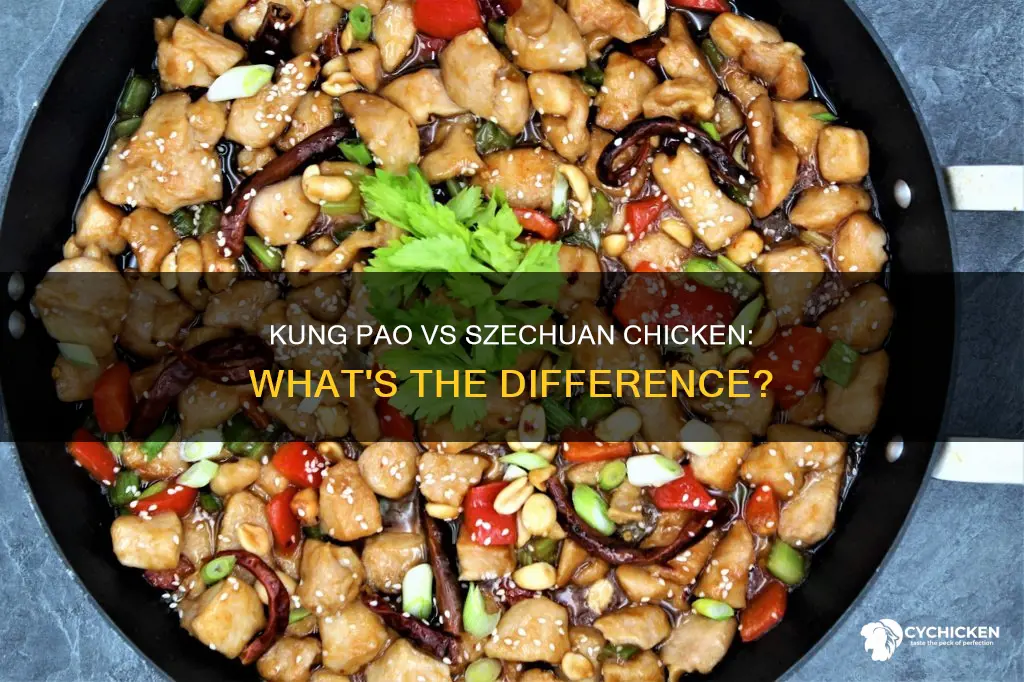 what is the difference between kung pao and szechuan chicken