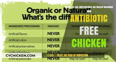 Organic vs Antibiotic-Free Chicken: What's the Difference?