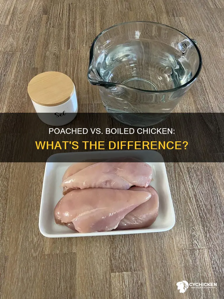 what is the difference between poached and boiled chicken