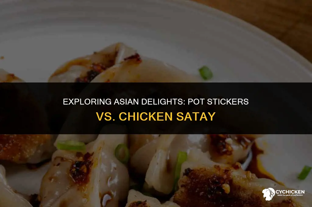 what is the difference between pot stickers and chicken satay