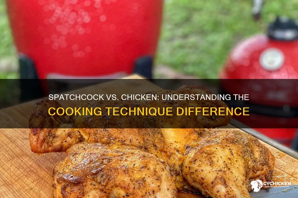 what is the difference between spatchcock and chicken