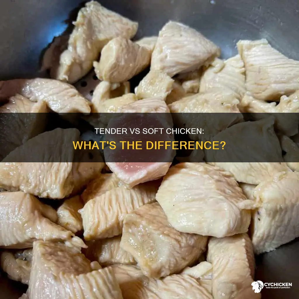 what is the difference between tender chicken and soft chicken