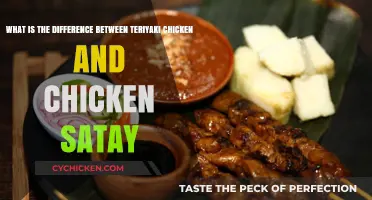 Teriyaki vs Satay: Chicken, Sauce, and Skewers