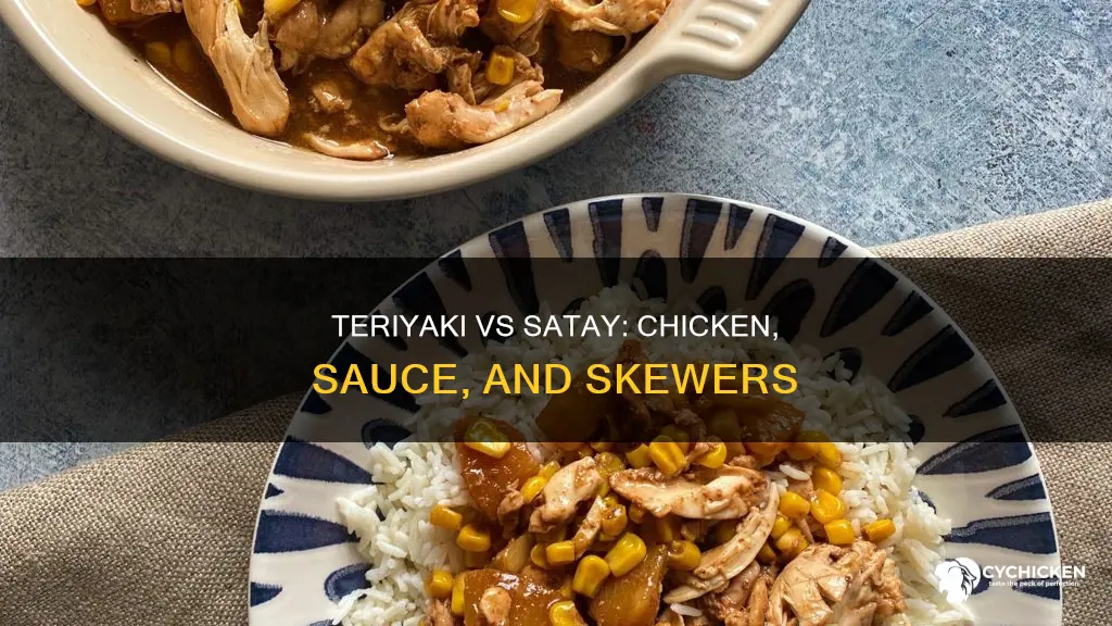 what is the difference between teriyaki chicken and chicken satay