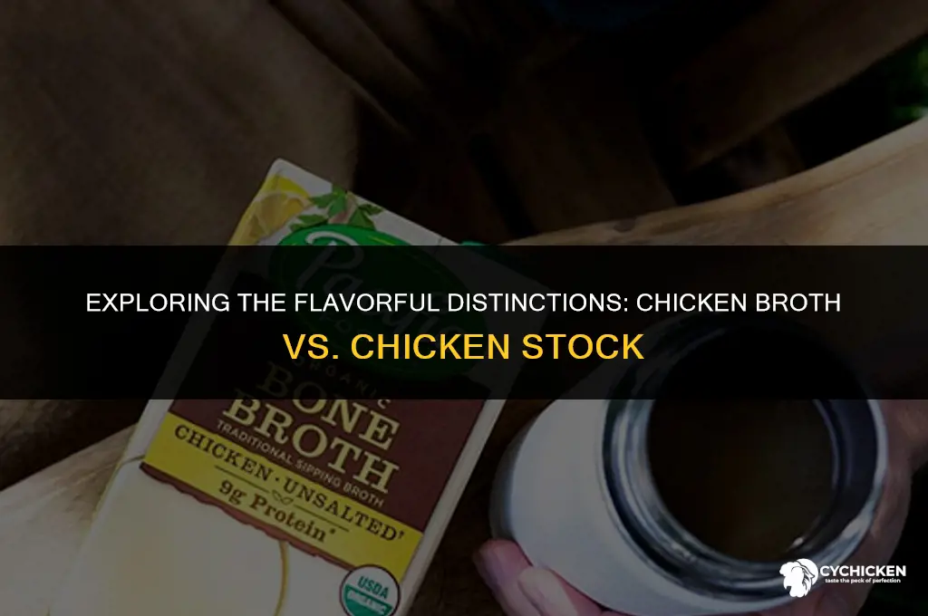what is the difference beyween chicken broth and chicken syock