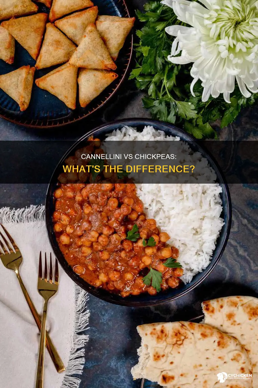 what is the difference in cannelli and chick peas