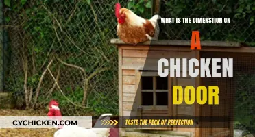 Understanding the Ideal Dimensions for a Chicken Coop Door