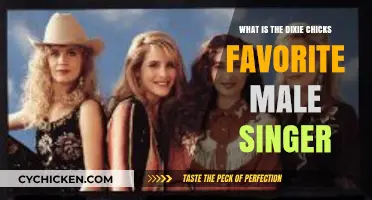 Dixie Chicks' Top Male Singer: Unveiling Their Musical Inspiration