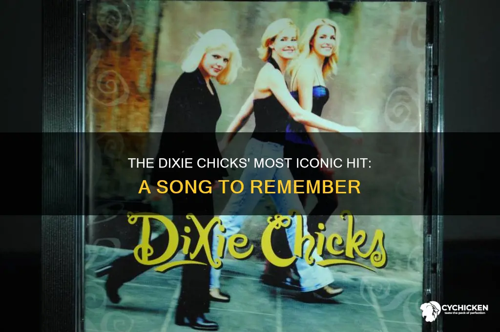 what is the dixie chicks most famous song