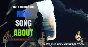 Unraveling the Meaning Behind the Dixie Chicks' Latest Song