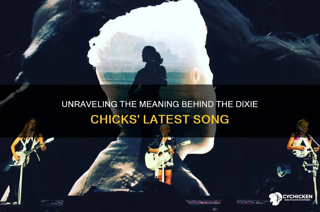 what is the dixie chicks new song about