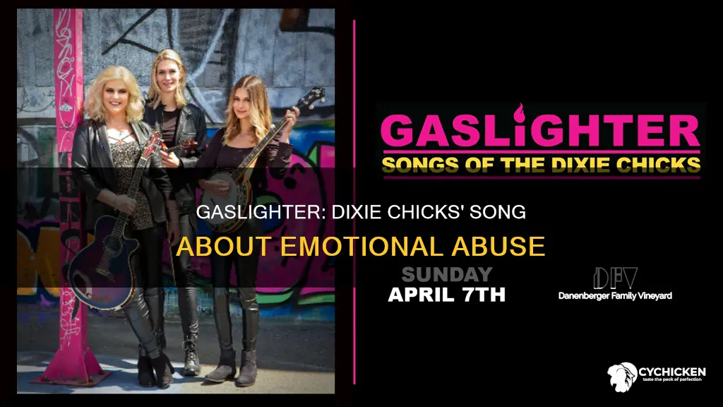 what is the dixie chicks new song gaslighter about