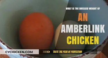 Understanding the Dressed Weight of Amberlink Chickens