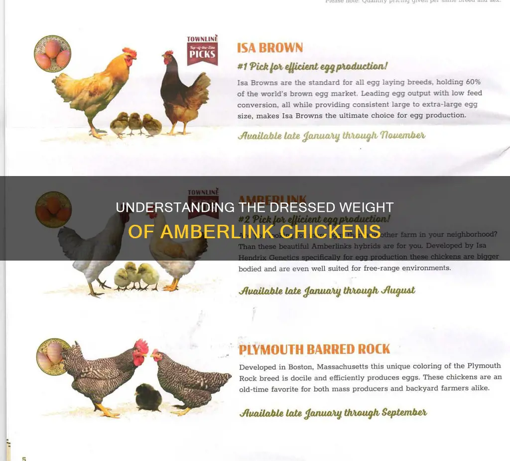 what is the dressed weight of an amberlink chicken